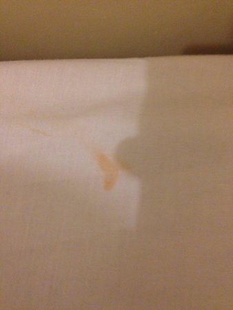 By The Beach Restaurant